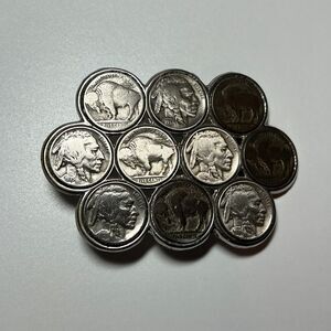 Buffalo Nickel Belt Buckle